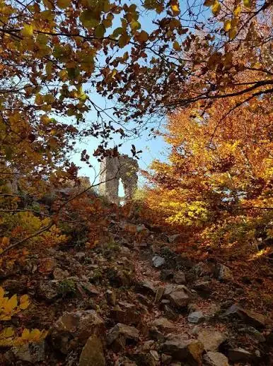 Ruine de pierre dans un sous-bois d'automne