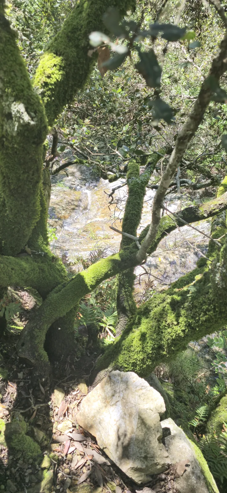 The waterfall in pictures 6