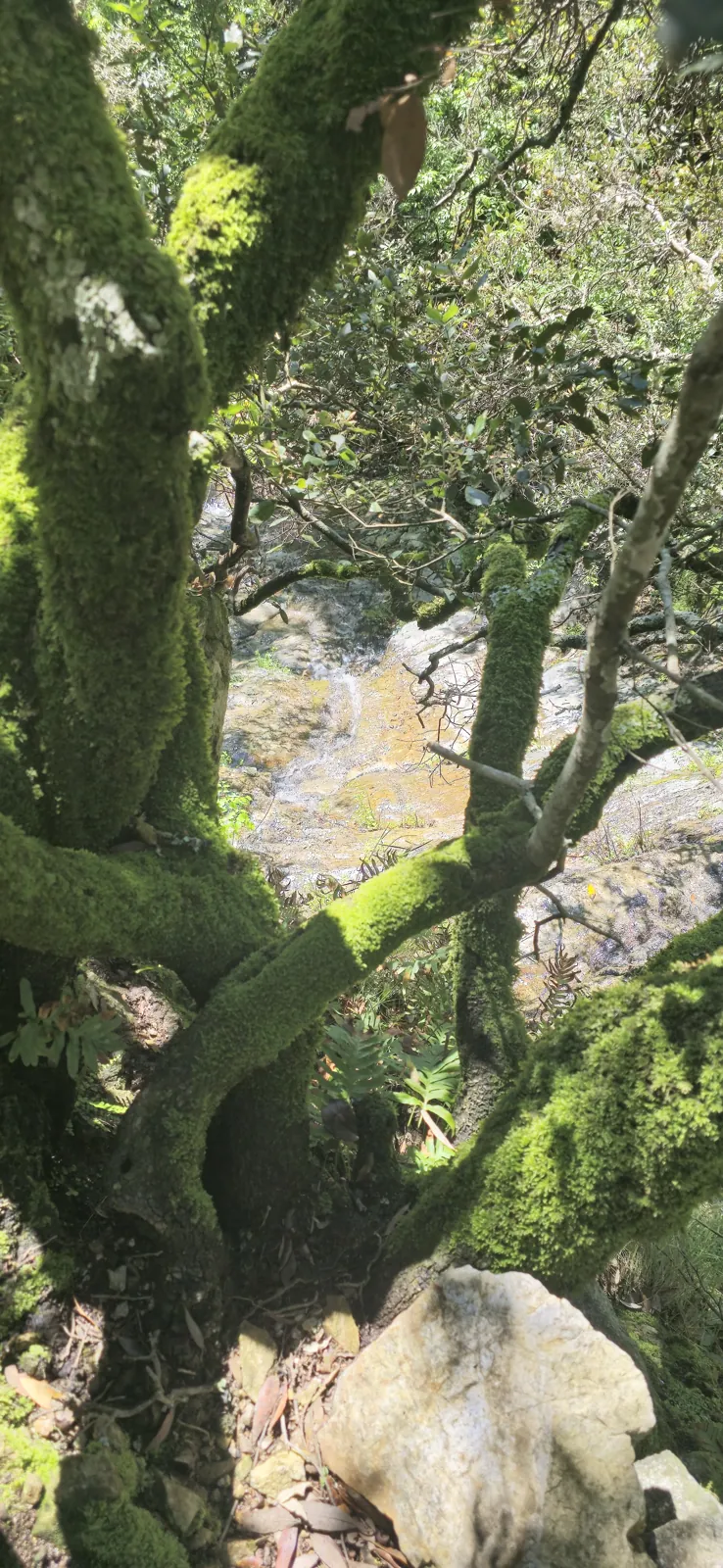 The waterfall in pictures 7