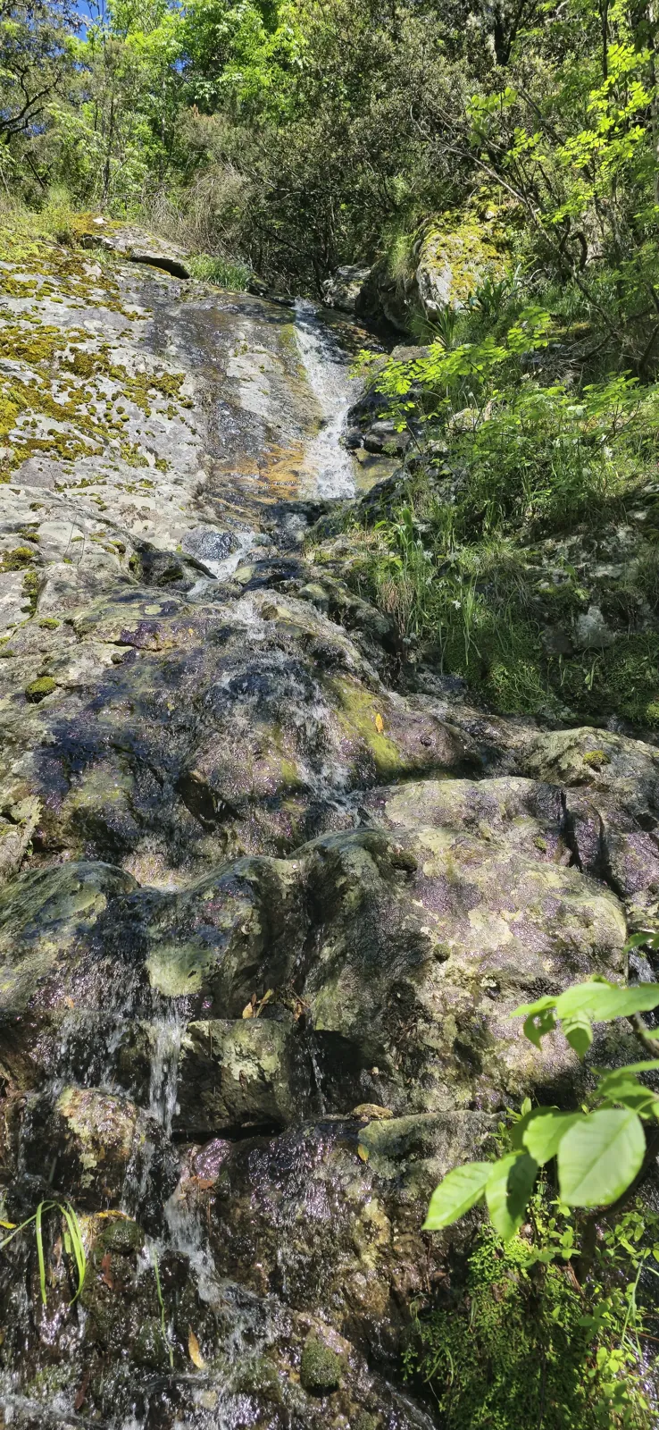 The waterfall in pictures 8