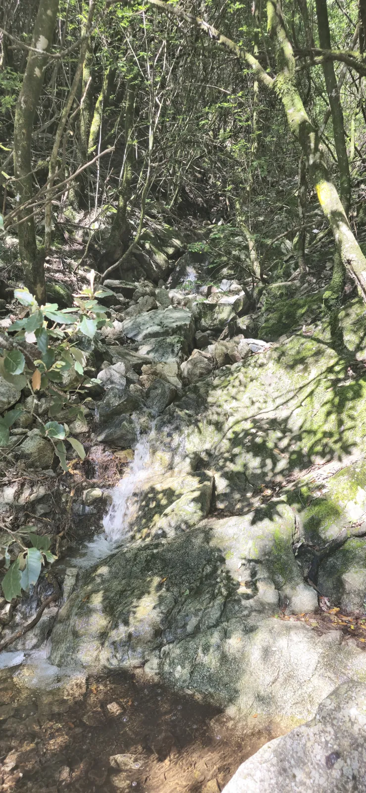 The waterfall in pictures 9
