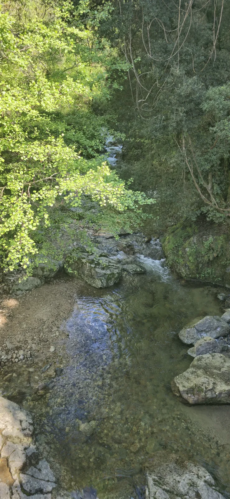 The waterfall in pictures 11