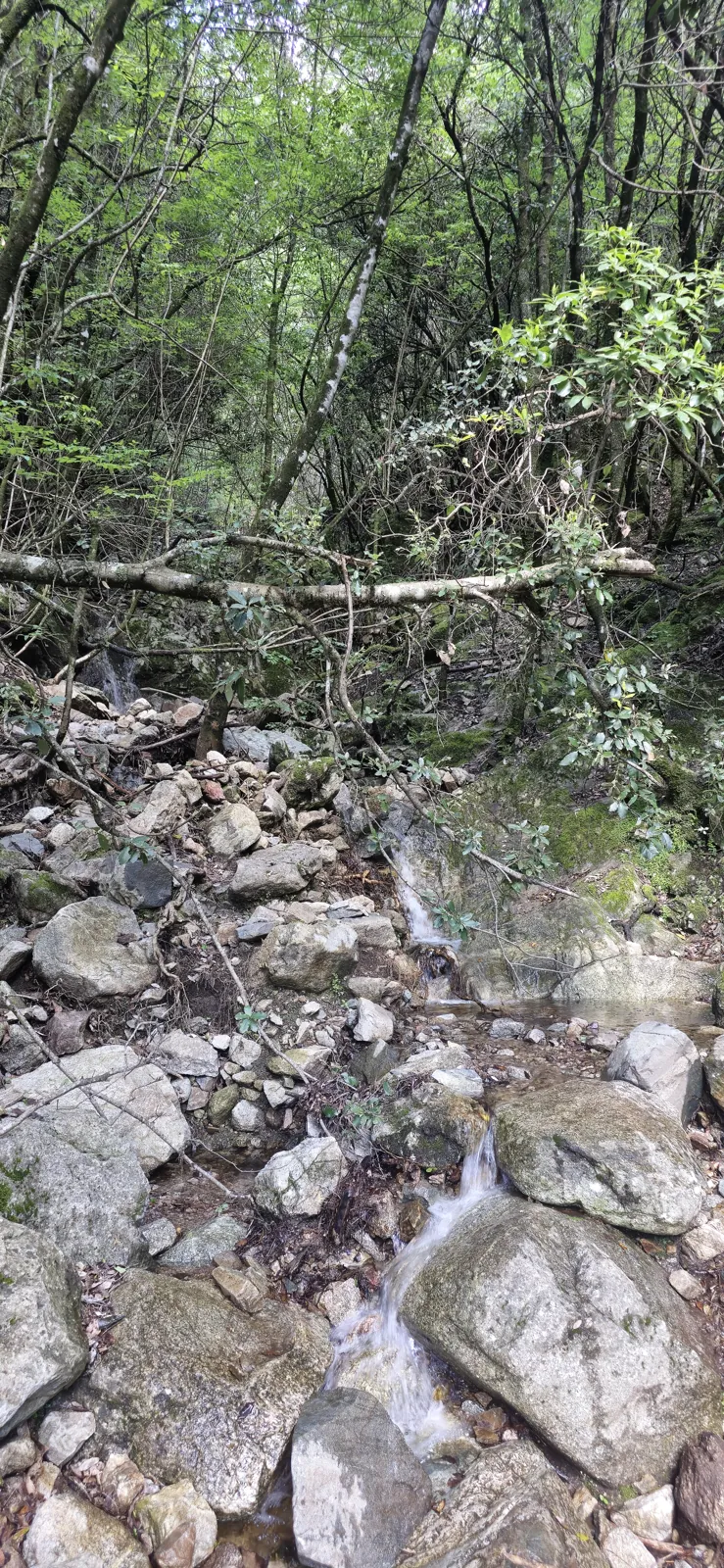 The waterfall in pictures 12