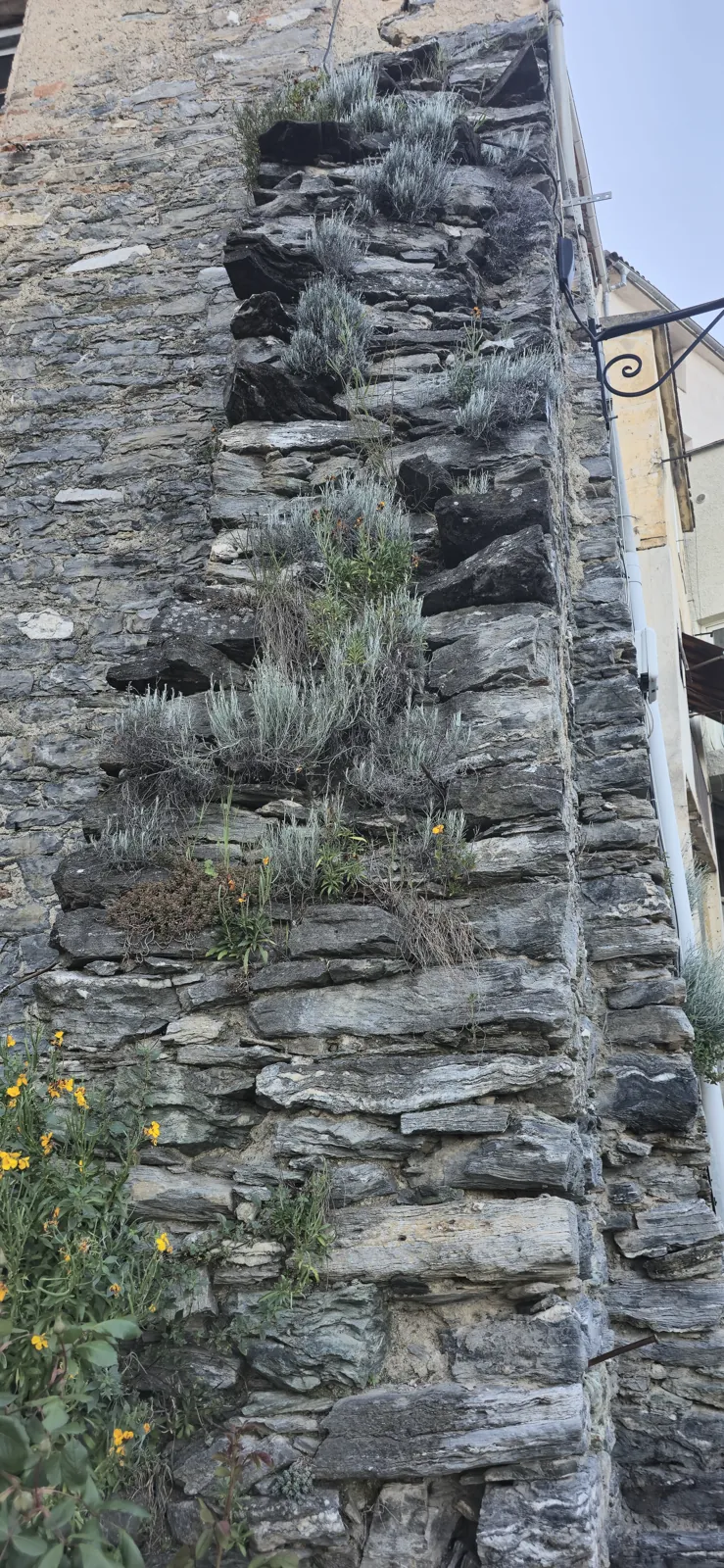 Corte in pictures 15
