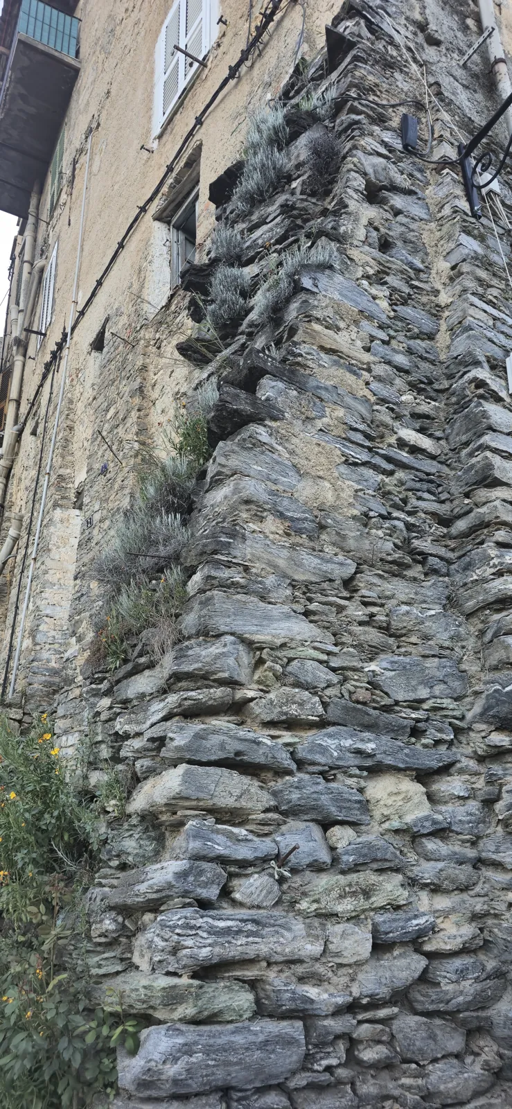 Corte in pictures 16