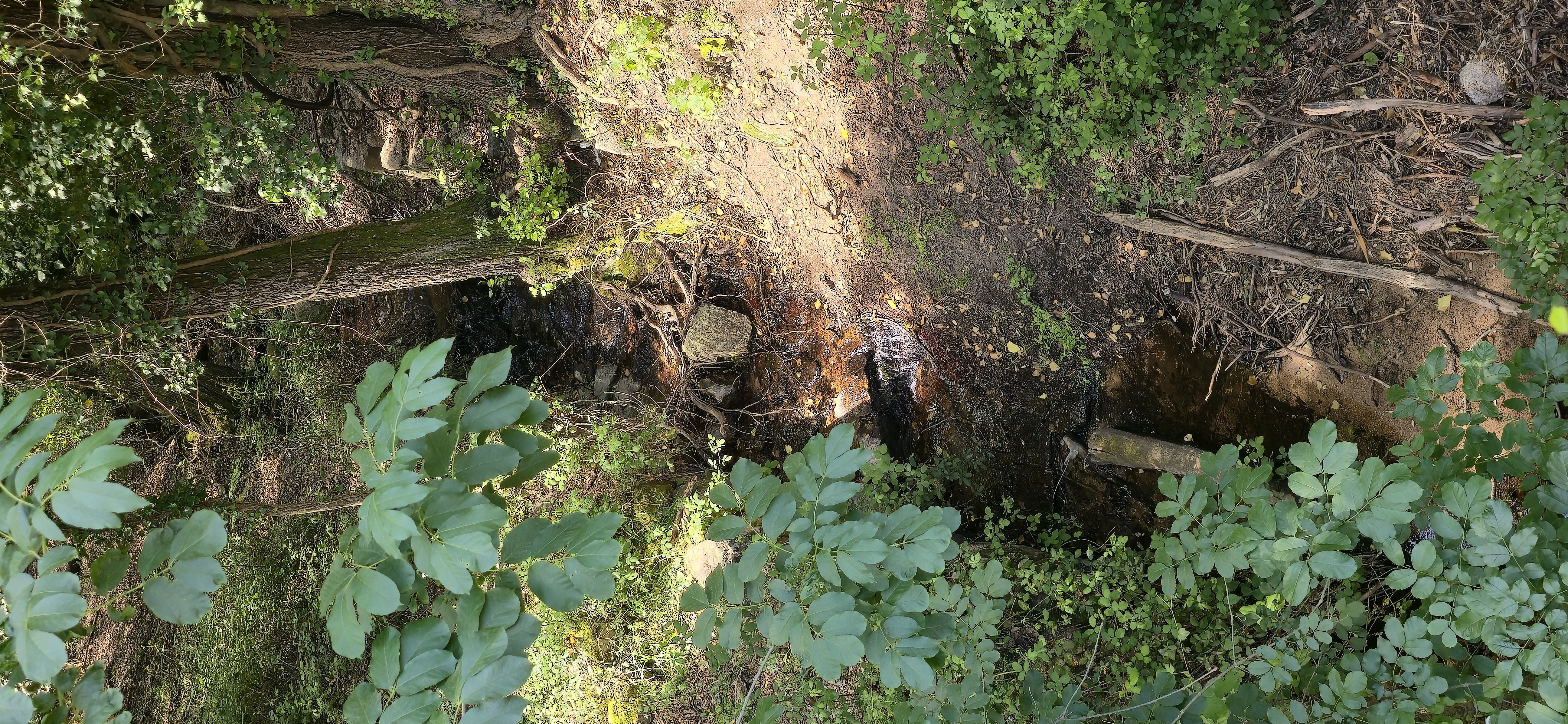 Autour du Ruppione en images 23