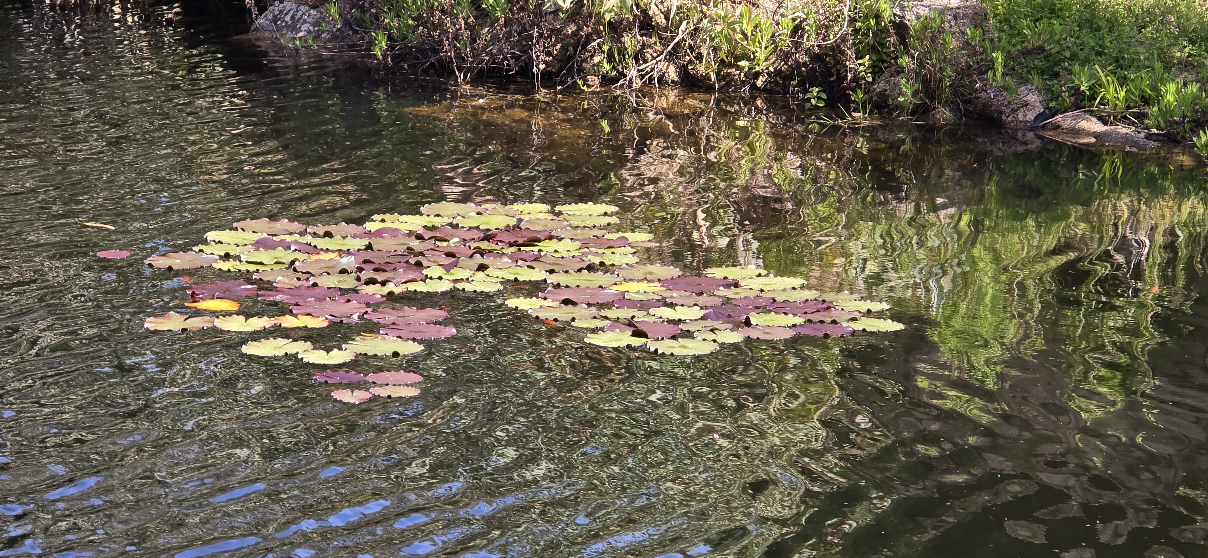 La retenue d'eau en images 19