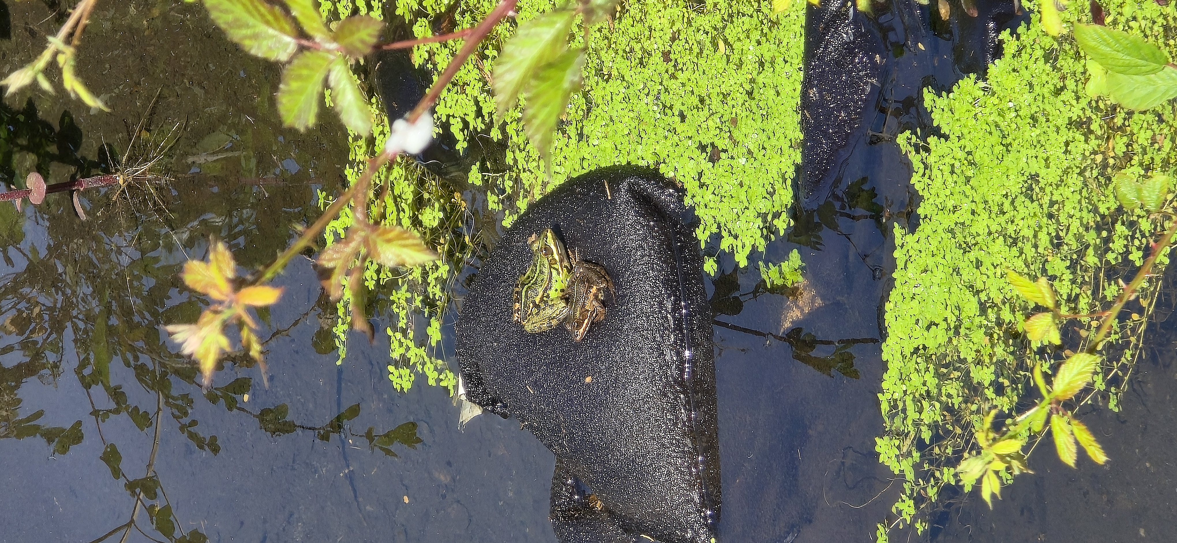 La retenue d'eau en images 23