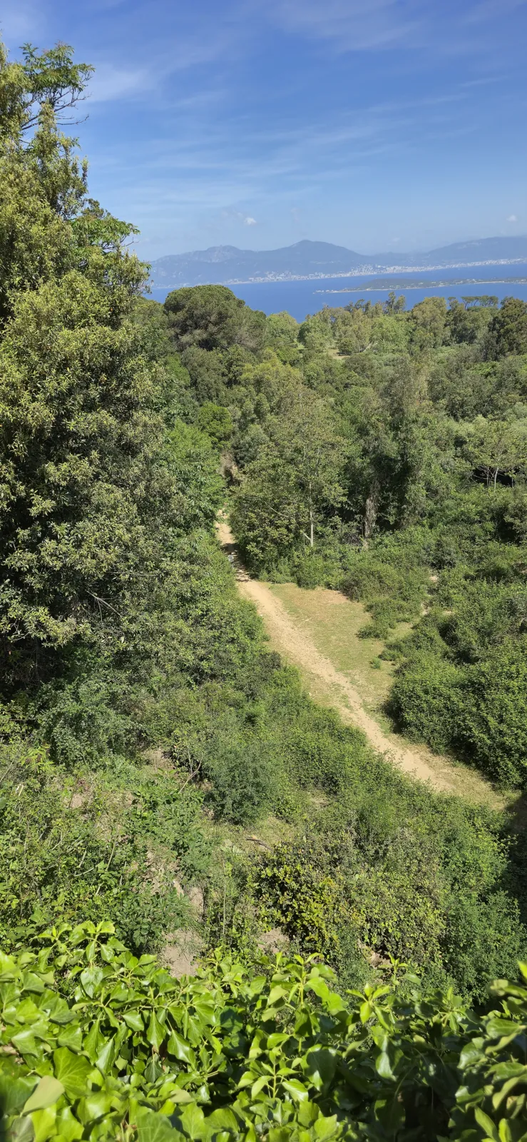 The reservoir in pictures 29