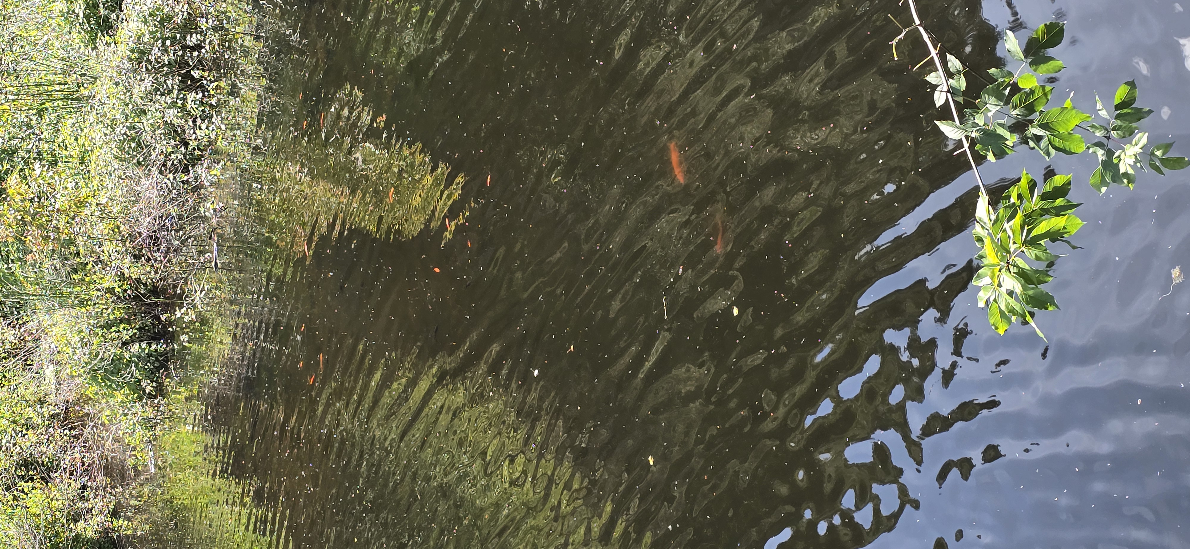 La retenue d'eau en images 32